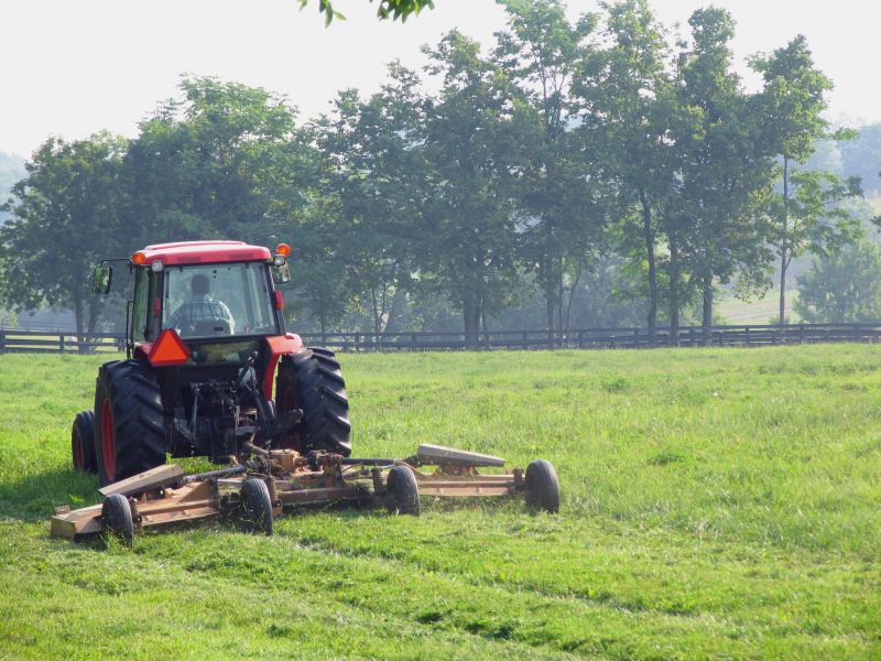 brush hogging