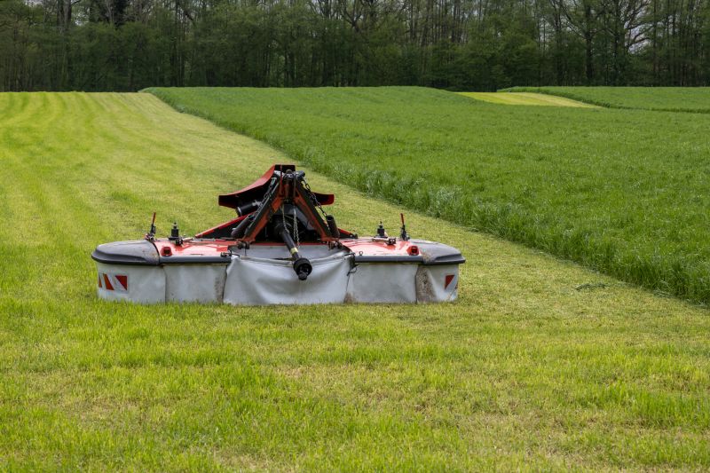 Equipment Cutting Through Dense Growth
